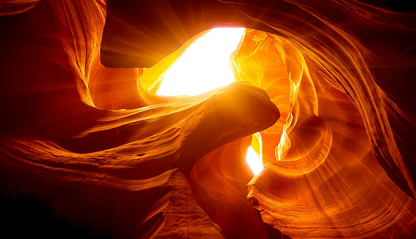 cc网投制药盛装参展2024西鼎会，共绘健康产业新蓝图！