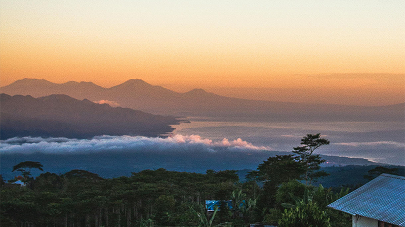 区领导莅临cc网投制药工厂，亲临一线指导工作