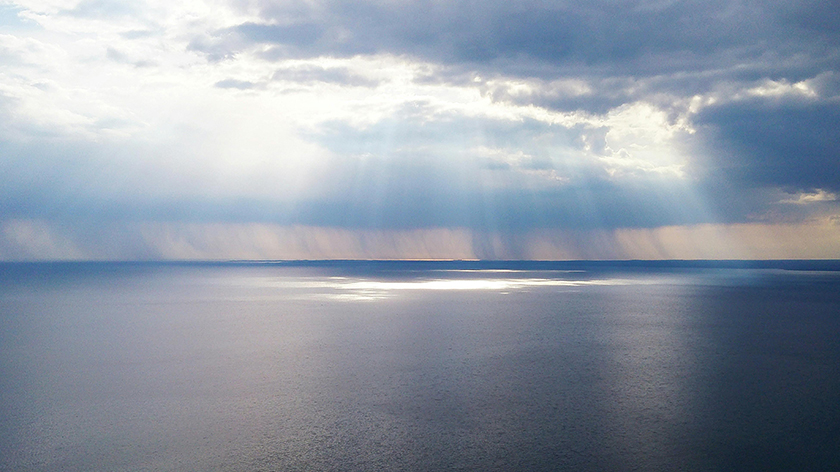 cc网投制药2024西鼎会圆满收官