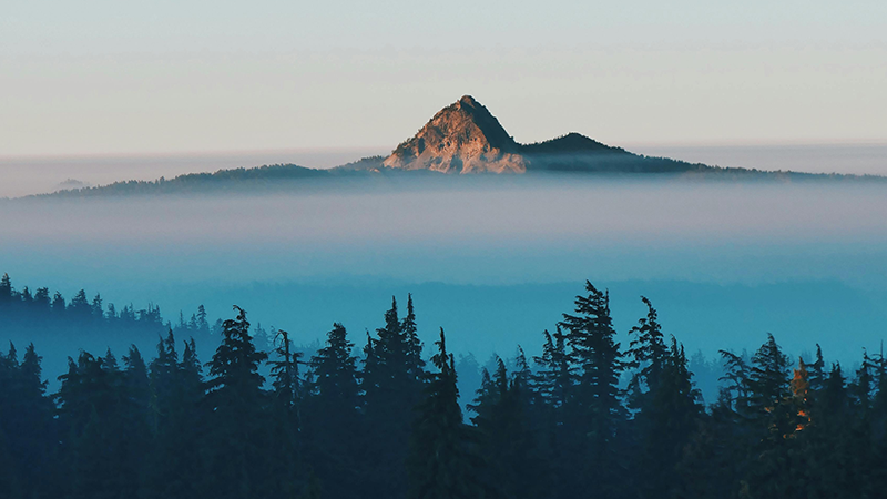 外用药细分龙头cc网投制药登陆A股，打造“药箱”IP矩阵高筑护城河